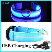 PAWSHIELD NATURAL™ LED Glowing Dog Collar — Rechargeable, Reflective & Night-Safe