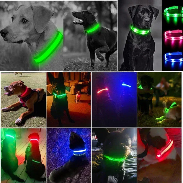 PAWSHIELD NATURAL™ LED Glowing Dog Collar — Rechargeable, Reflective & Night-Safe