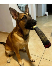 Interactive Dog Joint Sound