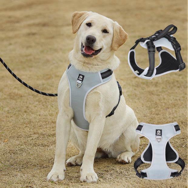 PAWSHIELD NATURAL™ Reflective Mesh Dog Harness & Leash Set — Breathable Comfort & Secure Control