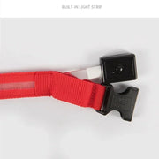 PAWSHIELD NATURAL™ LED Glowing Dog Collar — Rechargeable, Reflective & Night-Safe