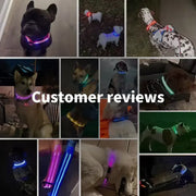 PAWSHIELD NATURAL™ LED Glowing Dog Collar — Rechargeable, Reflective & Night-Safe