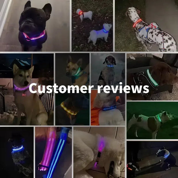 PAWSHIELD NATURAL™ LED Glowing Dog Collar — Rechargeable, Reflective & Night-Safe