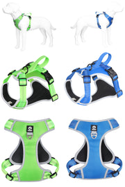 PAWSHIELD NATURAL™ Reflective Mesh Dog Harness & Leash Set — Breathable Comfort & Secure Control