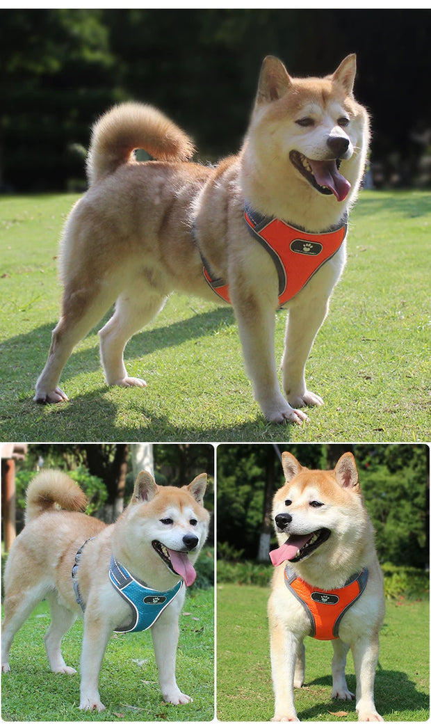 PAWSHIELD NATURAL™ Reflective Oxford Dog Harness — Rainproof Comfort &amp; Secure Control