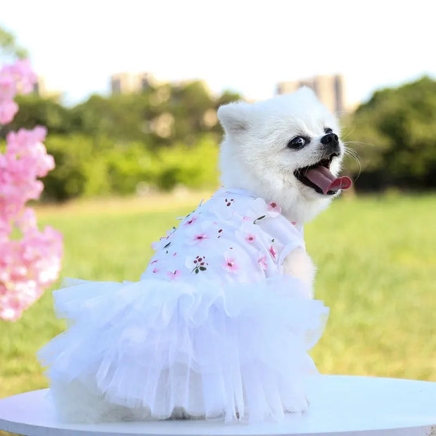 Floral Princess Dog Dress