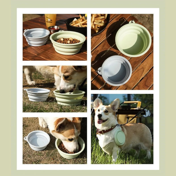 PAWSHIELD NATURAL™ Collapsible Travel Pet Bowls (2pcs) — Eat & Drink Anywhere