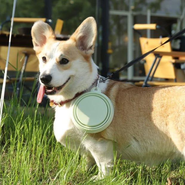 PAWSHIELD NATURAL™ Collapsible Travel Pet Bowls (2pcs) — Eat & Drink Anywhere