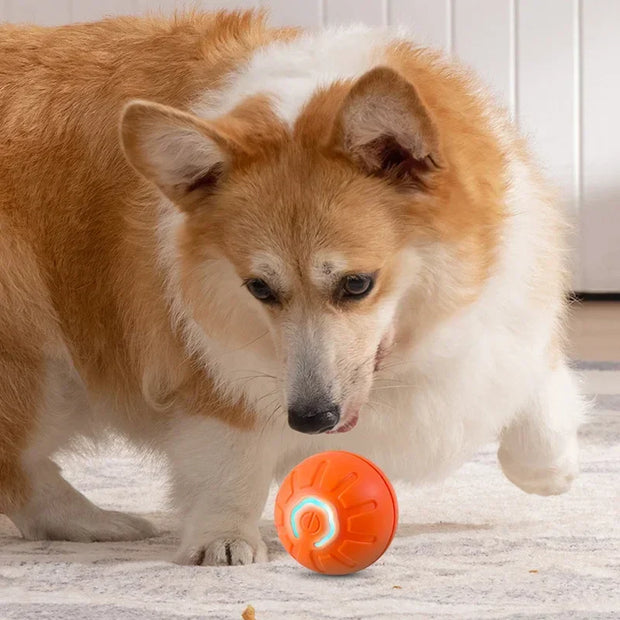 PAWSHIELD™ SmartPlay Motion Ball