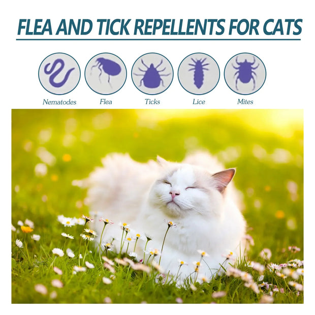 PAWSHIELD NATURAL™ Flea & Tick Drops — Fast Relief & Lasting Protection