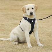 PAWSHIELD NATURAL™ Reflective Mesh Dog Harness & Leash Set — Breathable Comfort & Secure Control