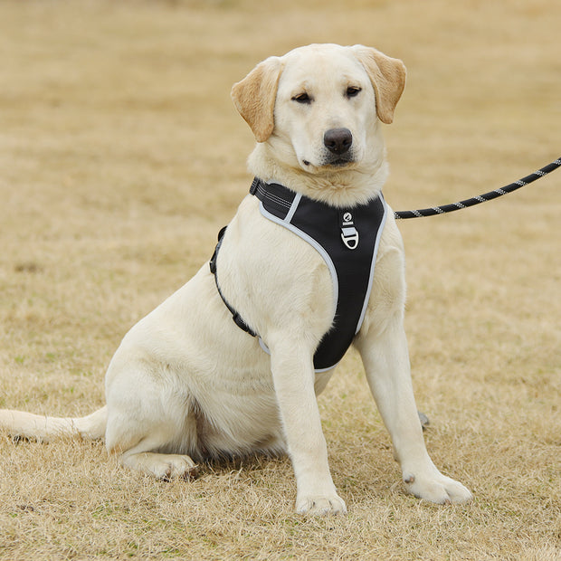PAWSHIELD NATURAL™ Reflective Mesh Dog Harness & Leash Set — Breathable Comfort & Secure Control