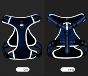 PAWSHIELD NATURAL™ Reflective Mesh Dog Harness & Leash Set — Breathable Comfort & Secure Control