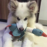 PAWSHIELD NATURAL™ Indestructible Squeaky Goose — Built for Aggressive Chewers