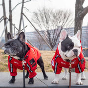 PAWSHIELD NATURAL™ Waterproof Dog Coat — Reflective, Comfortable & Weather-Ready