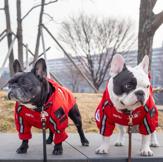 PAWSHIELD NATURAL™ Waterproof Dog Coat — Reflective, Comfortable & Weather-Ready