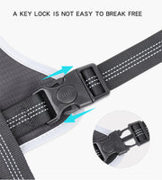 PAWSHIELD NATURAL™ Reflective Mesh Dog Harness & Leash Set — Breathable Comfort & Secure Control