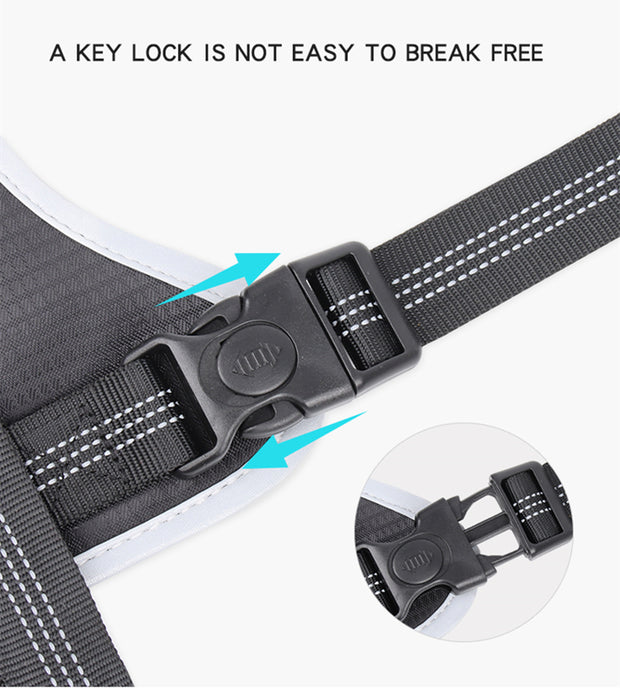 PAWSHIELD NATURAL™ Reflective Mesh Dog Harness & Leash Set — Breathable Comfort & Secure Control