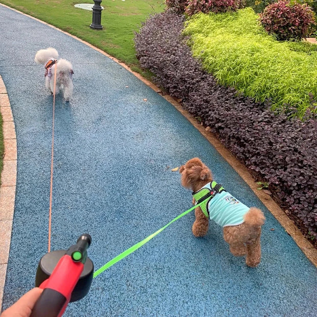 PAWSHIELD™ WalkEasy Pro