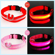 PAWSHIELD NATURAL™ LED Glowing Dog Collar — Rechargeable, Reflective & Night-Safe