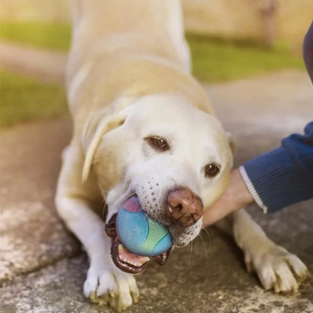 Bouncy Ball Toys Pet Dog Toys Bite Resistant  for Small Medium Dogs Tooth Cleaning Ball Dog Chew Toys Pet Training Products