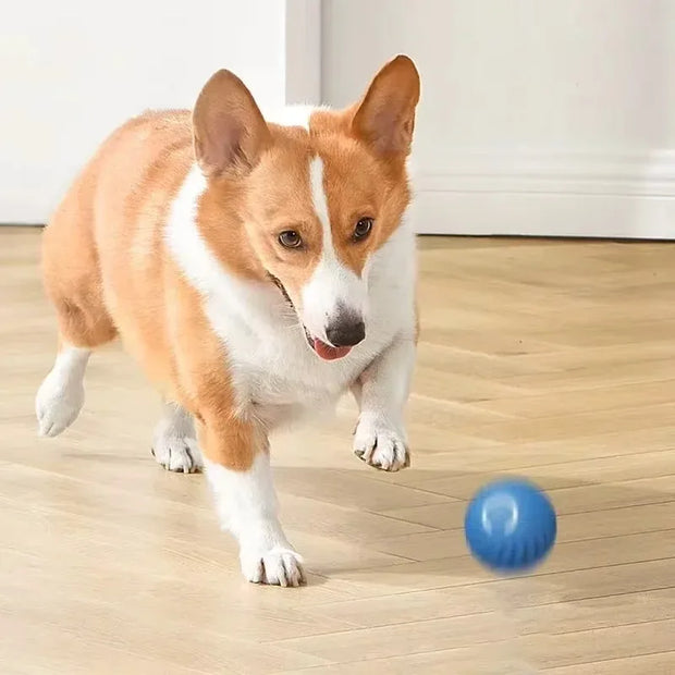 PAWSHIELD™ SmartPlay Motion Ball