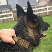 PAWSHIELD™ Tactical Dog Collar
