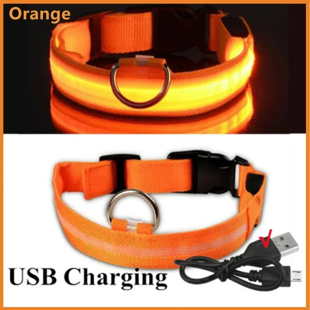 PAWSHIELD NATURAL™ LED Glowing Dog Collar — Rechargeable, Reflective & Night-Safe