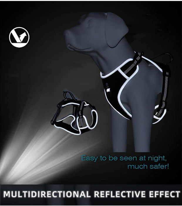 PAWSHIELD NATURAL™ Reflective Mesh Dog Harness & Leash Set — Breathable Comfort & Secure Control