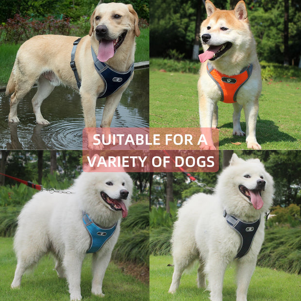 PAWSHIELD NATURAL™ Reflective Oxford Dog Harness — Rainproof Comfort &amp; Secure Control