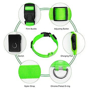 PAWSHIELD NATURAL™ LED Glowing Dog Collar — Rechargeable, Reflective & Night-Safe