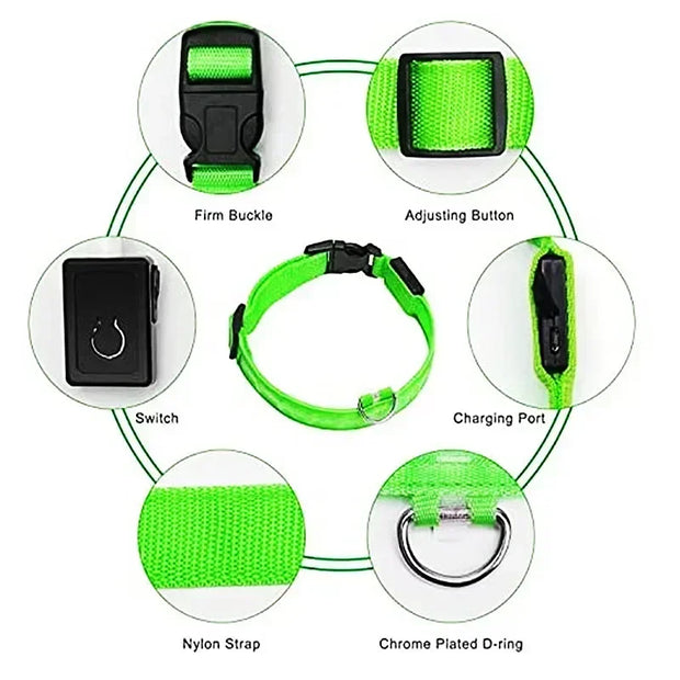 PAWSHIELD NATURAL™ LED Glowing Dog Collar — Rechargeable, Reflective & Night-Safe