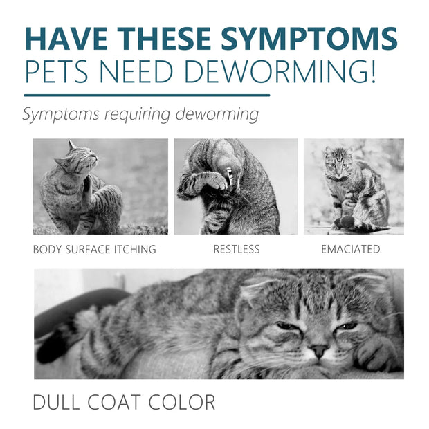 PAWSHIELD NATURAL™ Flea & Tick Drops — Fast Relief & Lasting Protection