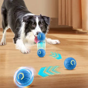 PAWSHIELD™ SmartPlay Motion Ball