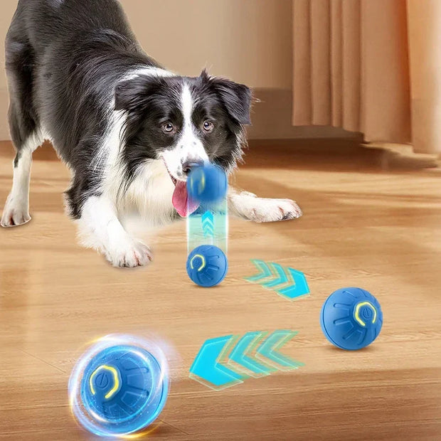 PAWSHIELD™ SmartPlay Motion Ball