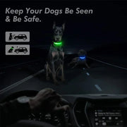 PAWSHIELD NATURAL™ LED Glowing Dog Collar — Rechargeable, Reflective & Night-Safe