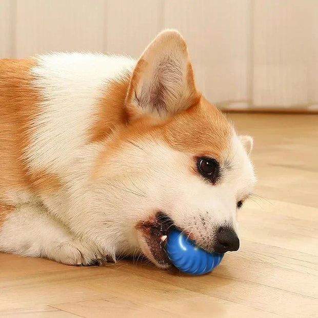 PAWSHIELD™ SmartPlay Motion Ball