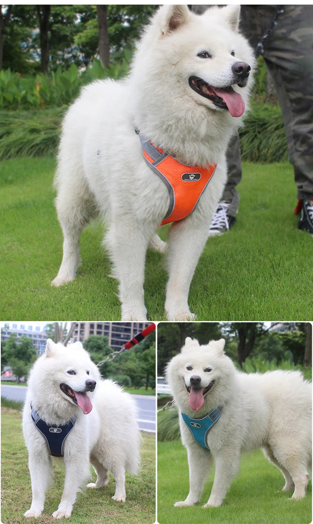 PAWSHIELD NATURAL™ Reflective Oxford Dog Harness — Rainproof Comfort &amp; Secure Control