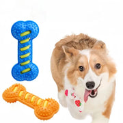 PAWSHIELD NATURAL™ Rubber Bone Chew Toy — Durable, Squeaky & Fun