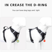 PAWSHIELD NATURAL™ Reflective Mesh Dog Harness & Leash Set — Breathable Comfort & Secure Control