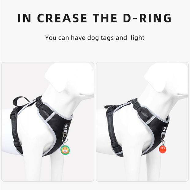 PAWSHIELD NATURAL™ Reflective Mesh Dog Harness & Leash Set — Breathable Comfort & Secure Control