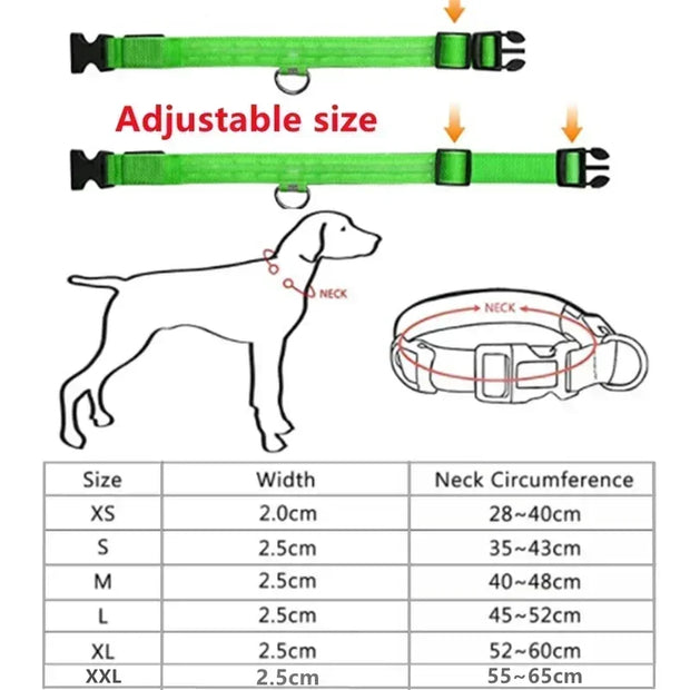 PAWSHIELD NATURAL™ LED Glowing Dog Collar — Rechargeable, Reflective & Night-Safe