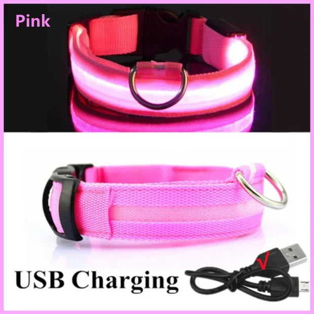 PAWSHIELD NATURAL™ LED Glowing Dog Collar — Rechargeable, Reflective & Night-Safe