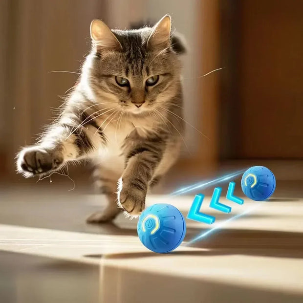 PAWSHIELD™ SmartPlay Motion Ball