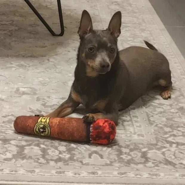 Interactive Dog Joint Sound