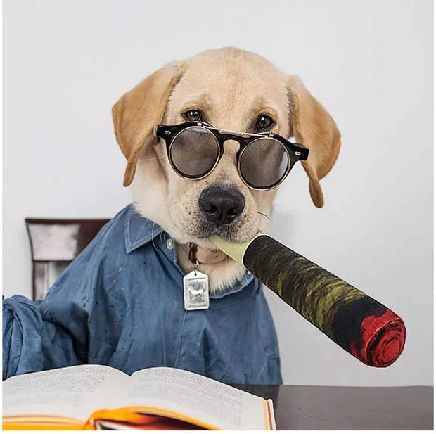 Interactive Dog Joint Sound