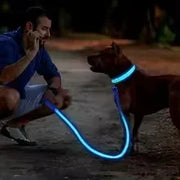 PAWSHIELD NATURAL™ LED Glowing Dog Collar — Rechargeable, Reflective & Night-Safe