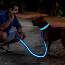 PAWSHIELD NATURAL™ LED Glowing Dog Collar — Rechargeable, Reflective & Night-Safe