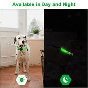 PAWSHIELD NATURAL™ LED Glowing Dog Collar — Rechargeable, Reflective & Night-Safe
