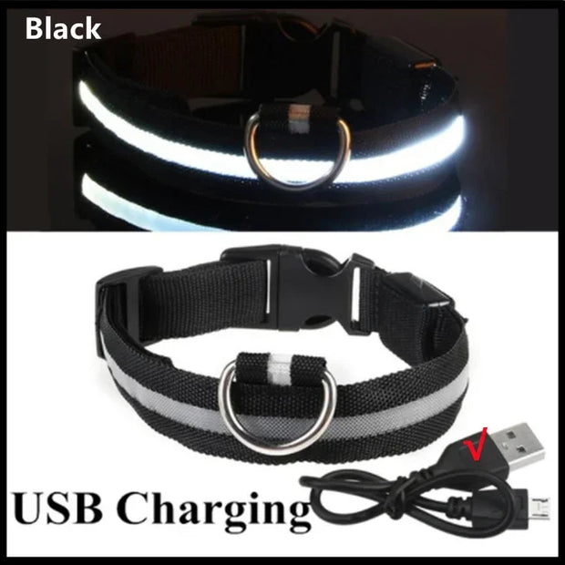 PAWSHIELD NATURAL™ LED Glowing Dog Collar — Rechargeable, Reflective & Night-Safe